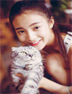 《零点锋云2008》
