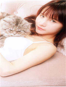 《xoxo欧美》